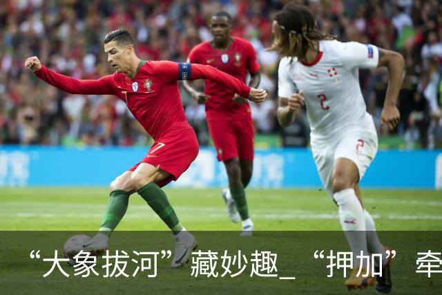 “大象拔河”藏妙趣 “押加”牵起民族情谊