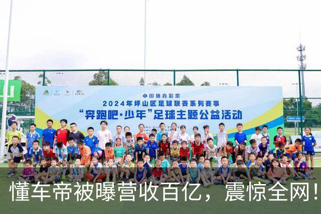 懂车帝被曝营收百亿，震惊全网！